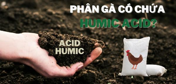 Phân gà hữu cơ chứa nhiều Humic axit?